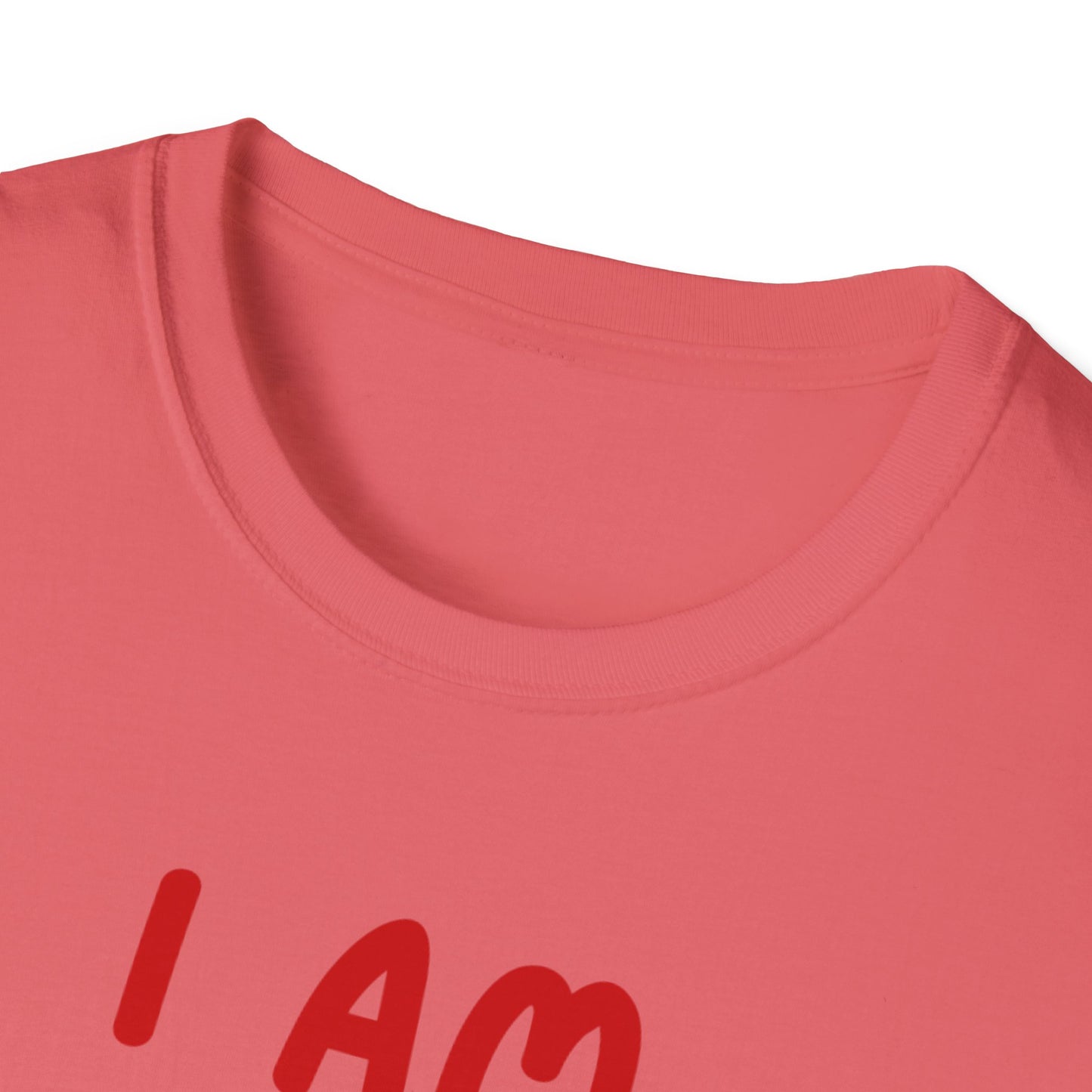 "I Am Paid to Exist" Unisex Softstyle T-Shirt