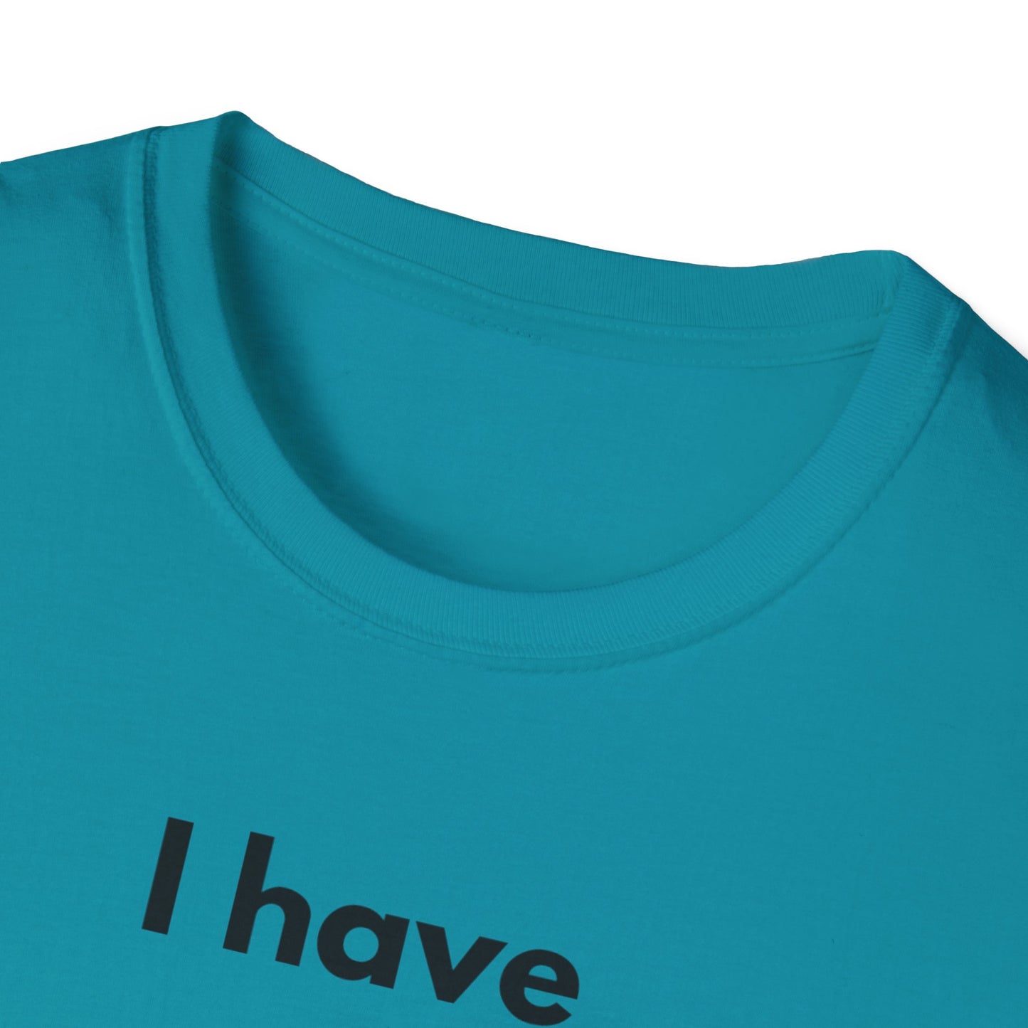 "I Have my Dream Career" -  Unisex Softstyle T-Shirt