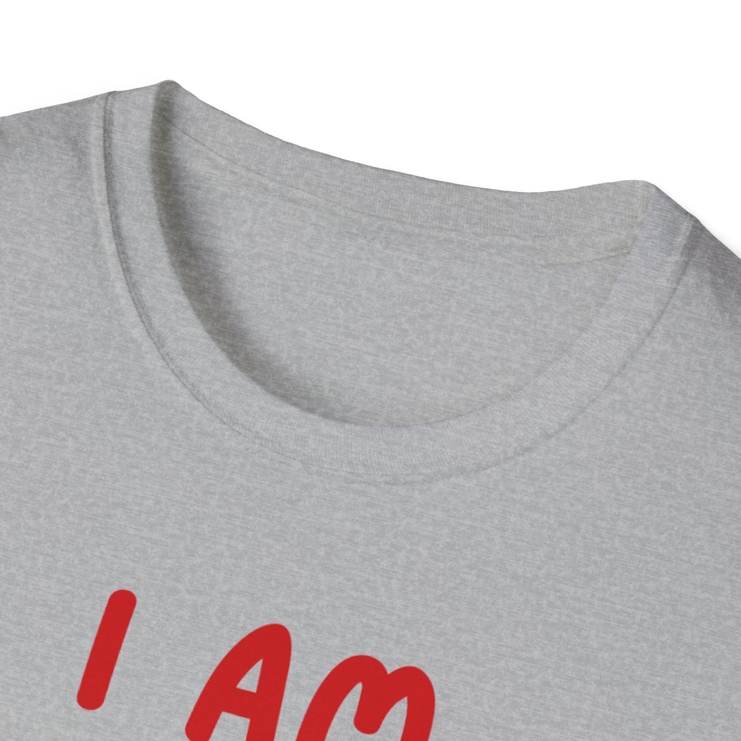 "I Am Paid to Exist" Unisex Softstyle T-Shirt