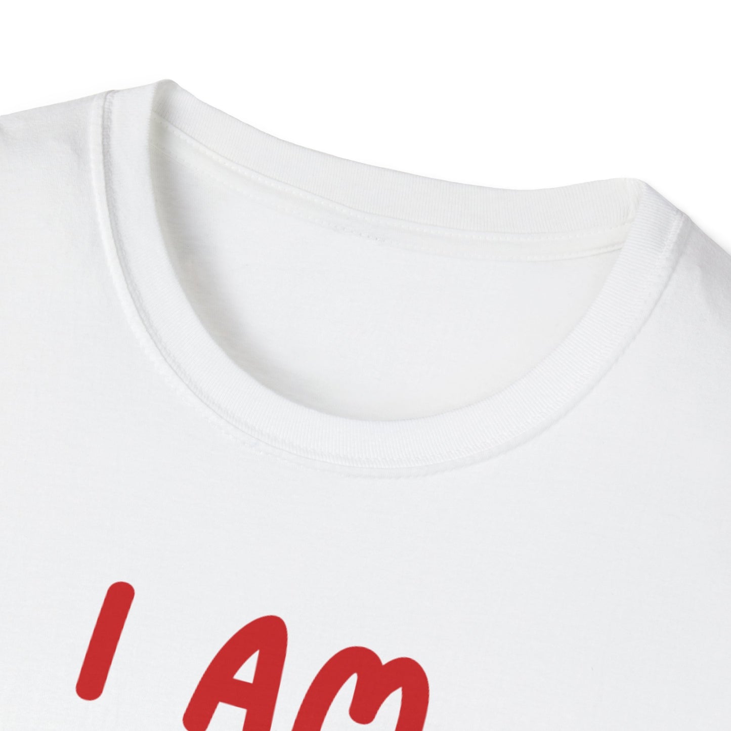 "I Am Paid to Exist" Unisex Softstyle T-Shirt