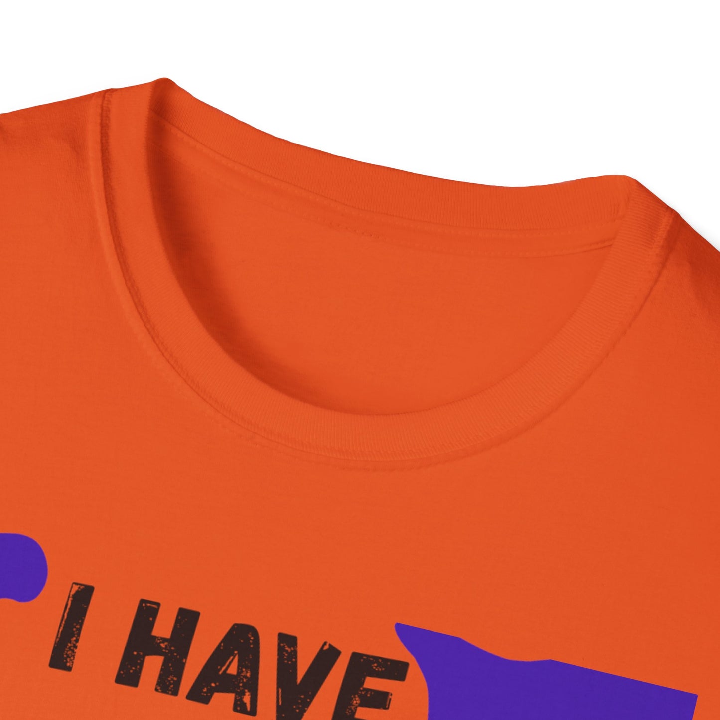 "I Have that Divine Drip" -  Unisex Softstyle T-Shirt - Trendy Graphic Tee for Casual Outings