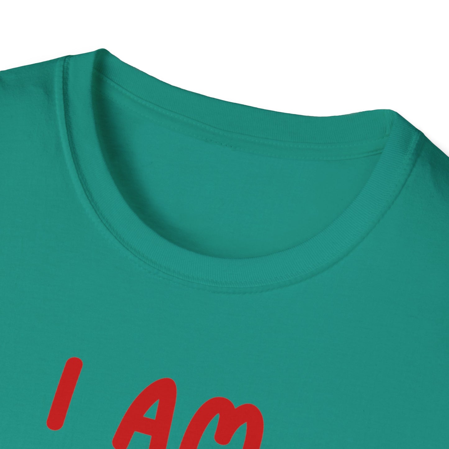"I Am Paid to Exist" Unisex Softstyle T-Shirt