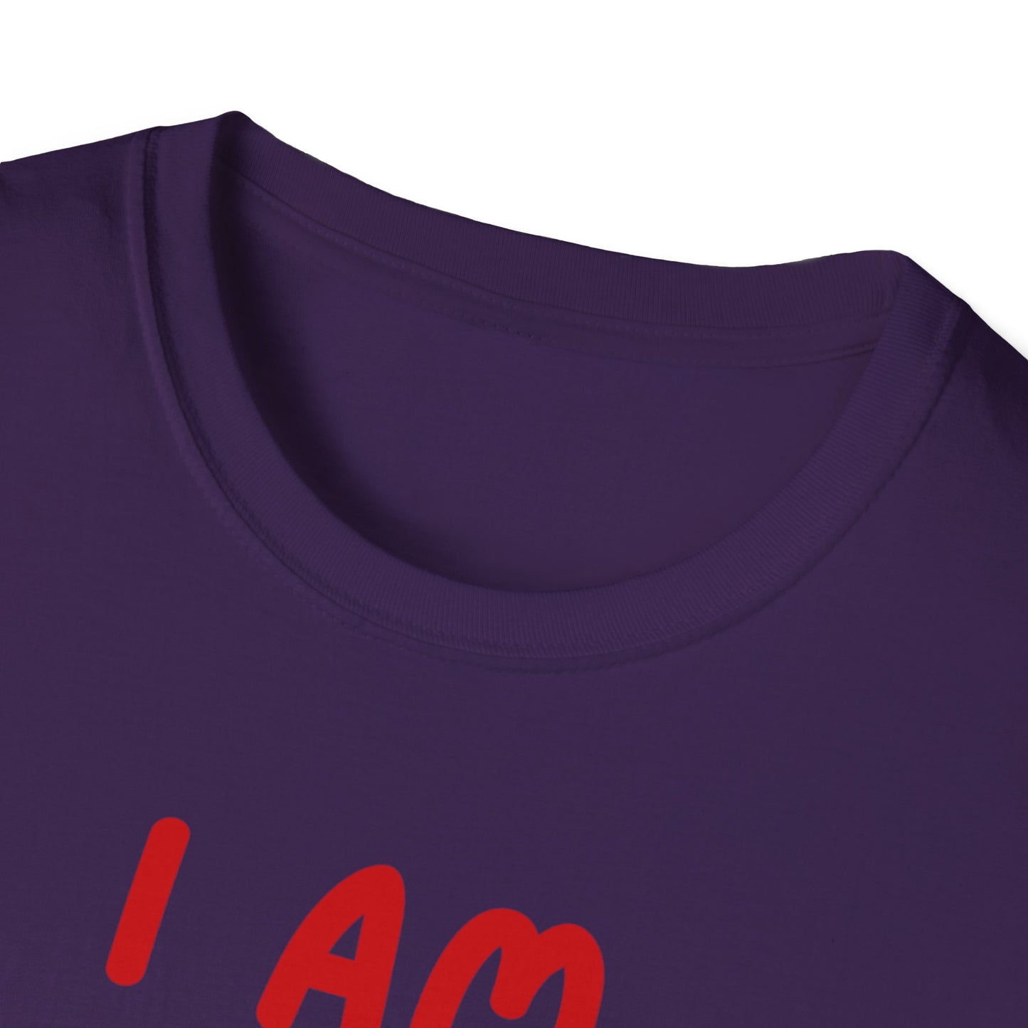 "I Am Paid to Exist" Unisex Softstyle T-Shirt