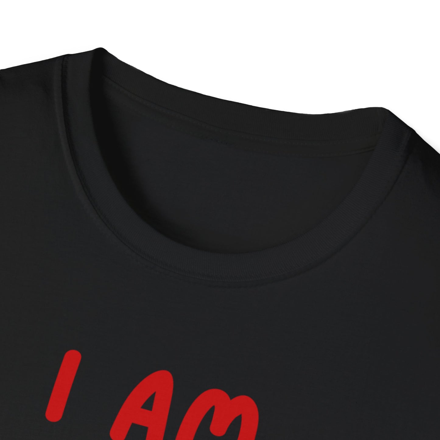 "I Am Paid to Exist" Unisex Softstyle T-Shirt