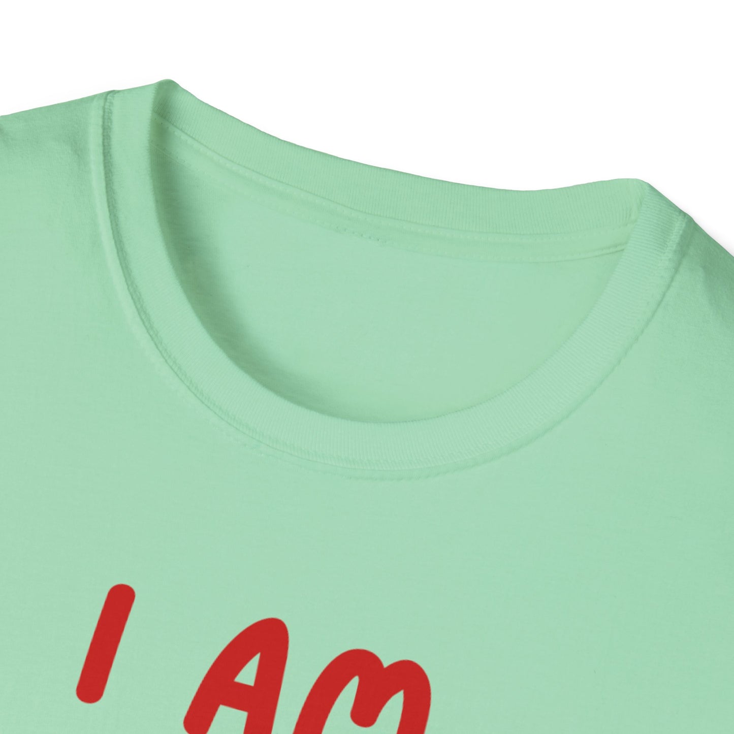 "I Am Paid to Exist" Unisex Softstyle T-Shirt