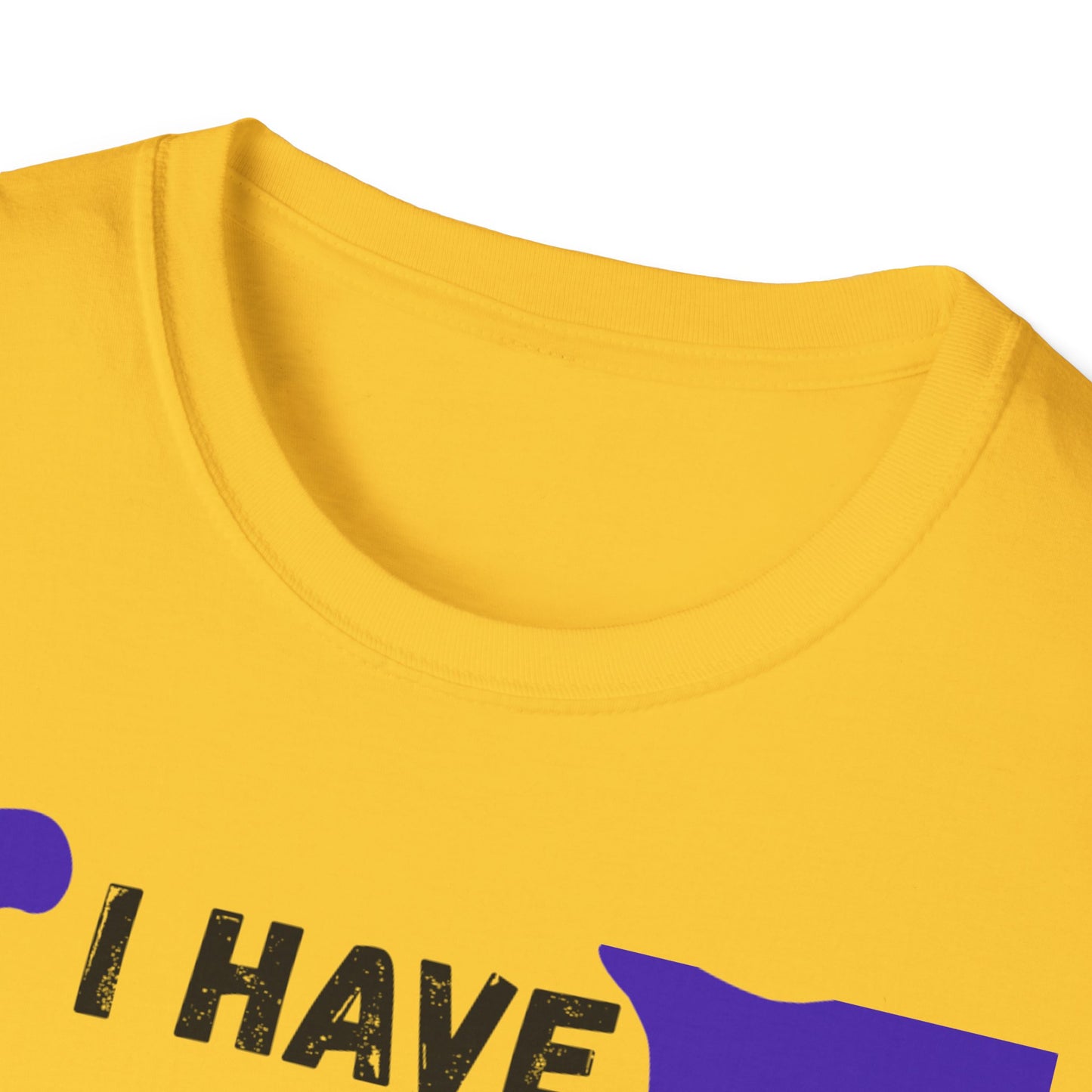 "I Have that Divine Drip" -  Unisex Softstyle T-Shirt - Trendy Graphic Tee for Casual Outings