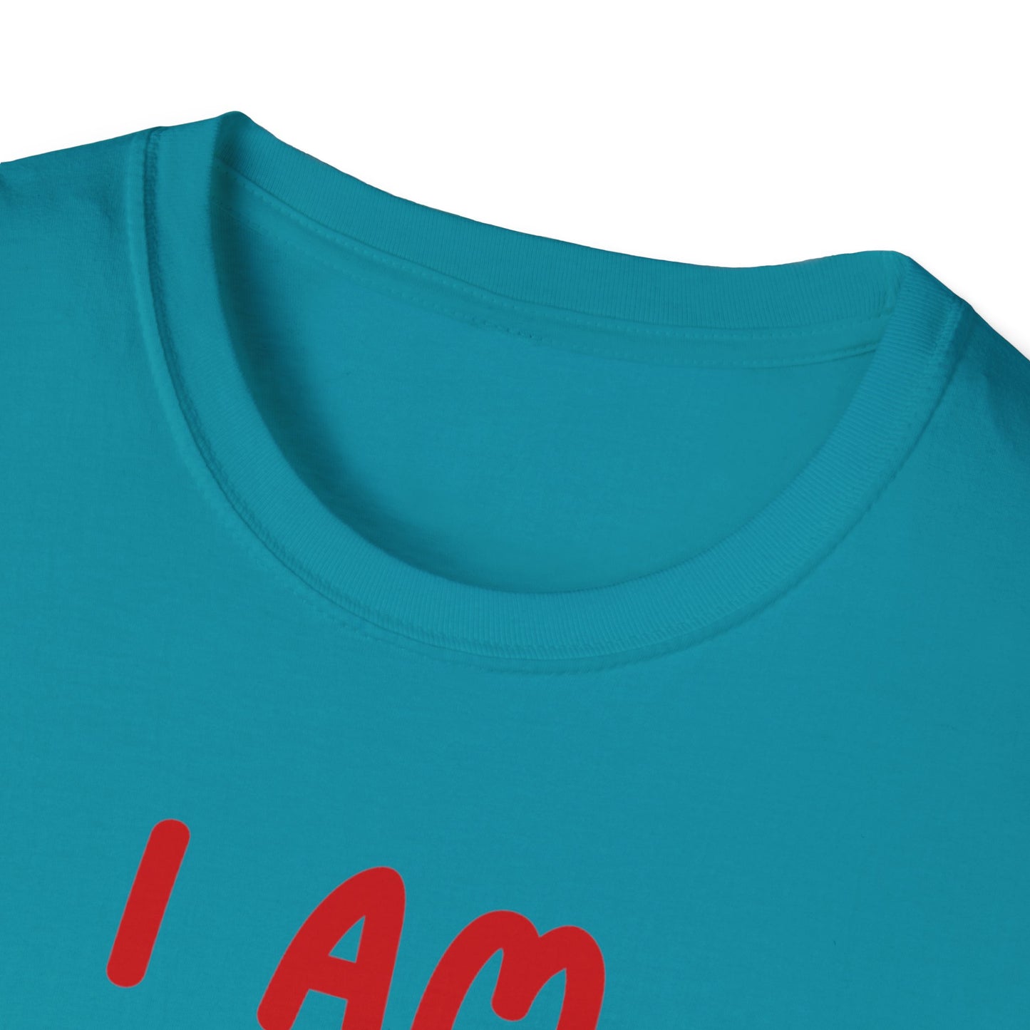 "I Am Paid to Exist" Unisex Softstyle T-Shirt