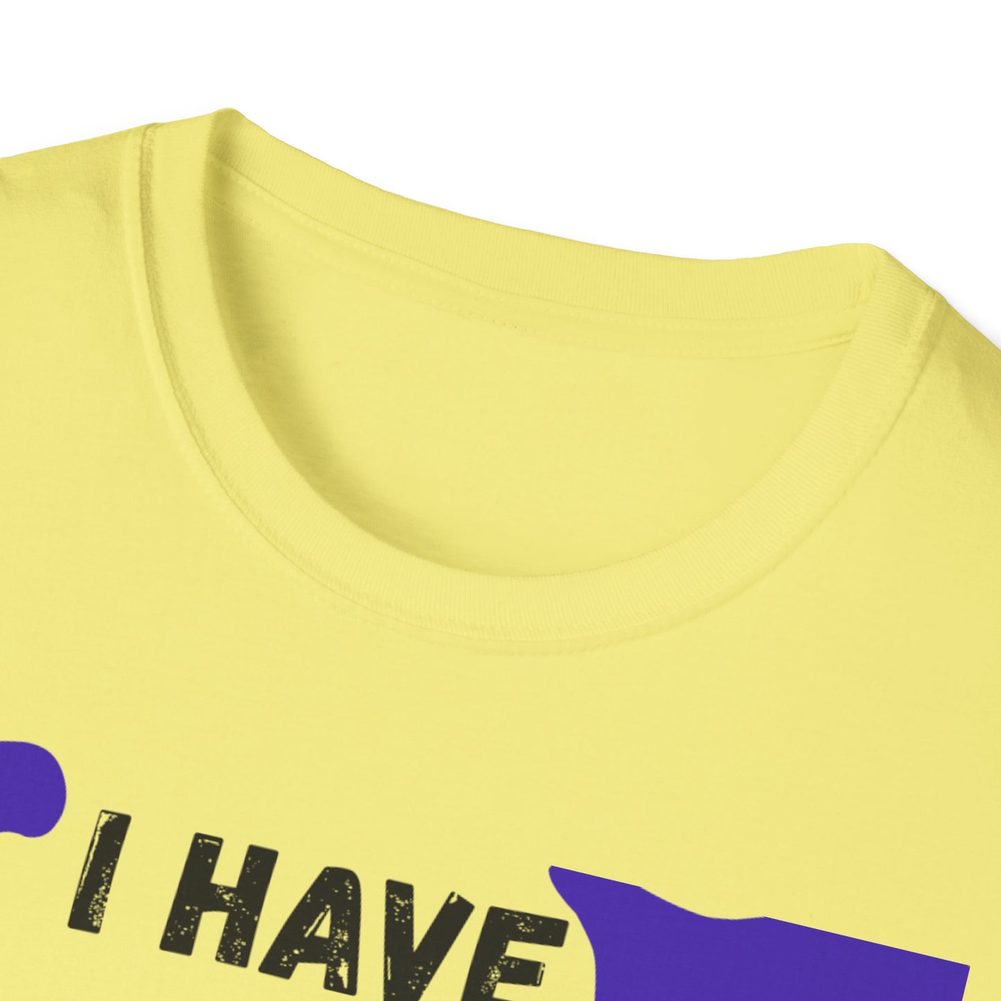 "I Have that Divine Drip" -  Unisex Softstyle T-Shirt - Trendy Graphic Tee for Casual Outings